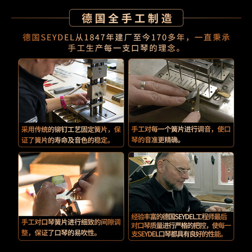 SEYDEL德国进口SEYDEL赛德 十孔10蓝调成人口琴 1847 CLASSIC 10孔G调