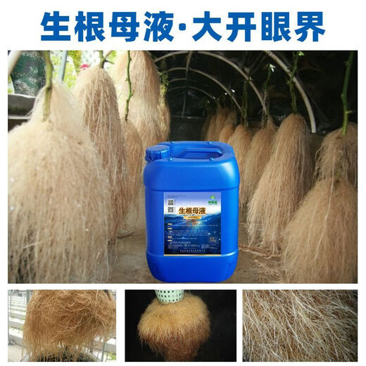 Zhongxiquan Rooting Mother Solution Breathable Rooting Agent Nutrient Solution Organic Fertilizer Fruit Trees Flowers Vegetables Rooting Strong Seedlings White Genduoduo 50Jin Jin is equal to 0.5kg *2 barrels delivered to villages and towns