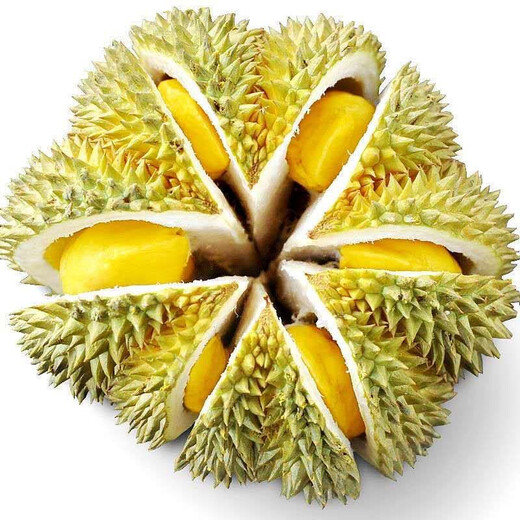 攸竹泰国金枕榴莲 马来西亚猫山王榴莲D197次日达带壳金枕榴莲礼盒 A级金枕3-4斤/一个装