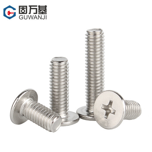 Guwanji 304 stainless steel thin flat head screws CM cross recessed flat head screws notebook digital machine screws M2x4x4 100 pieces