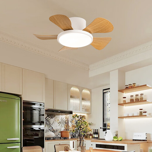 风向标儿童房卧室风扇灯马卡龙小型吊扇灯家用静音过道阳台薄吸顶电扇灯 全光谱小爱29-724A绿+彩色叶吸顶