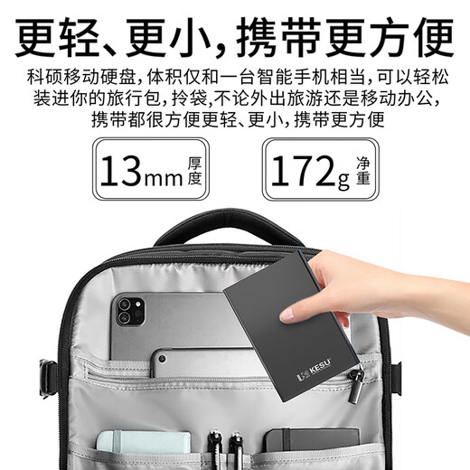 KESU Mobile Festplatte, große Kapazität, USB 3.0, sicher, verschlüsselt, externe mechanische Hochgeschwindigkeitsfestplatte, große U-Disk, Edelmetall, Haoyue-Silber + Festplattenpaket 160 GB