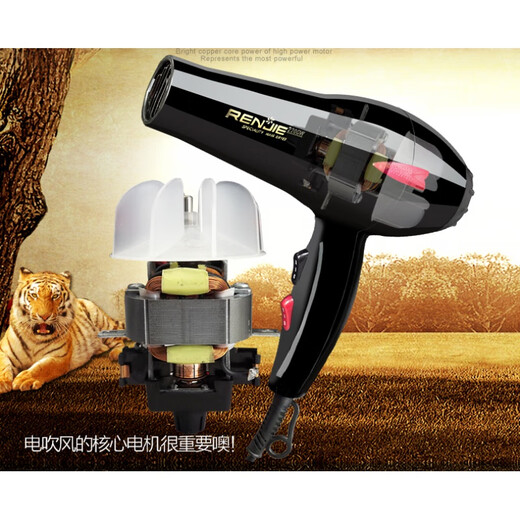 Renjie Haartrockner 826 Hoch Power 2200W Heiße und kalte Luft Haushalt Friseursalon Friseur Shop Konstante Temperatur Haartrockner Renjie 2200W Hochleistungshaartrockner 826