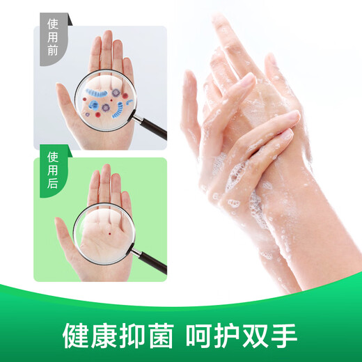 Dettol Healthy Antibacterial Hand Sanitizer Moisturizing and Protecting Children and Adults Universal Household Combination Cleaning Set Hand Sanitizer Moisturizing + Pine 450g*4