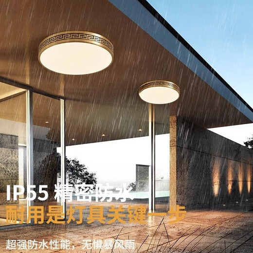 禾灵全铜别墅入户灯超薄露台庭院灯室外过道房檐防水新中式阳台吸顶灯 X3891/方形50CM/三色可调