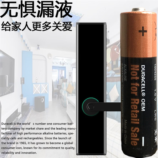 TIDEENSSY suitable for loop lock, touch, password, smart door lock, Samsung fingerprint lock 708/717/719/738/P72 original number 5 alkaline AA original battery 8 sections