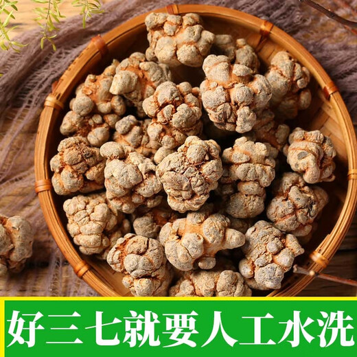 Panax notoginseng Yunnan Wenshan Spring Panax notoginseng Selected Chinese medicinal materials without cuts and nourishing gifts Sanqi Tianqi Selected 24 heads and 24 [500 grams] No cuts and 37 heads/hair whole