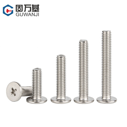 Guwanji 304 stainless steel thin flat head screws CM cross recessed flat head screws notebook digital machine screws M2x4x4 100 pieces