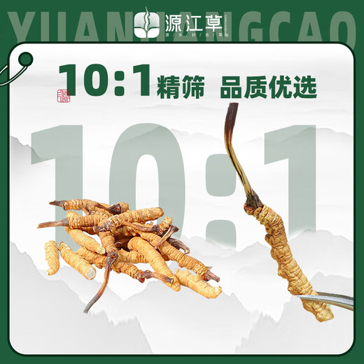Yuanjiang Gras Cordyceps sinensis Auswahl an Cordyceps vulgaris erschwingliches Paket für ältere Nahrungsergänzungsmittel für sich selbst gegnerische Geschenke 10 Gramm gebrochenes Gras