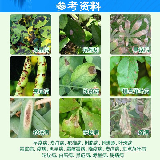 Phytosol 80% mancozeb fully complexed citrus, fruit tree and vegetable downy mildew scab leaf spot pesticide broad-spectrum fungicide