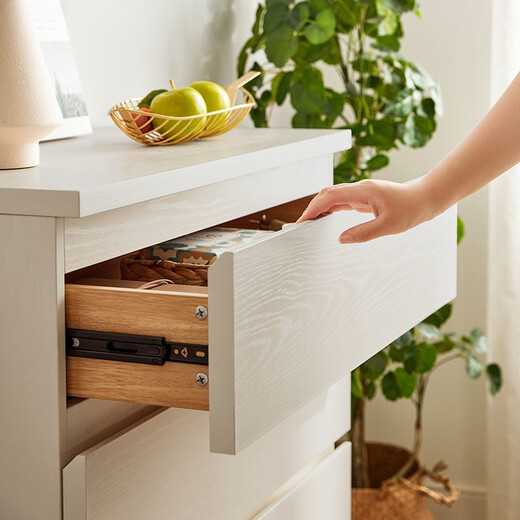 Lin's Home Modern Simple Nordic Small Apartment Storage Cabinet Storage Cabinet Bedroom LS187E5-D Four Drawer Cabinet 0.8 Meter