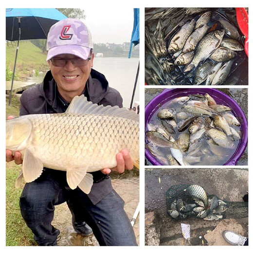 
Liu Zhiqiang Bait fishing bait fishing bait fishing bait fishing bait for wild crucian carp fishing bait All-round fishing 350g