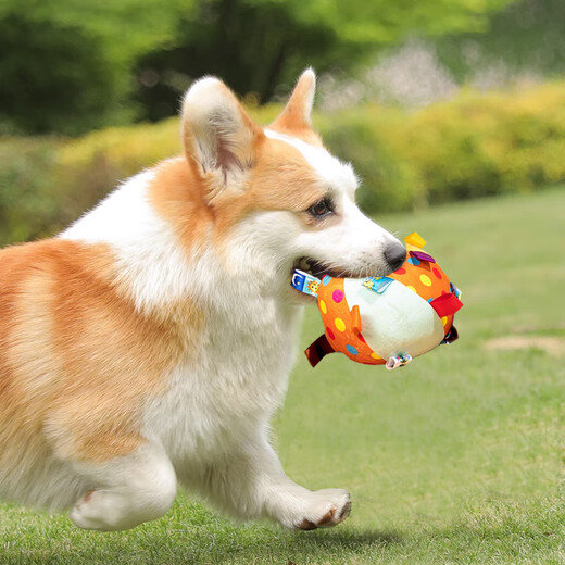 Cute Star Pet Dog Toy Sound Ball Pet Plush Bell Ball Interactive Training Supplies