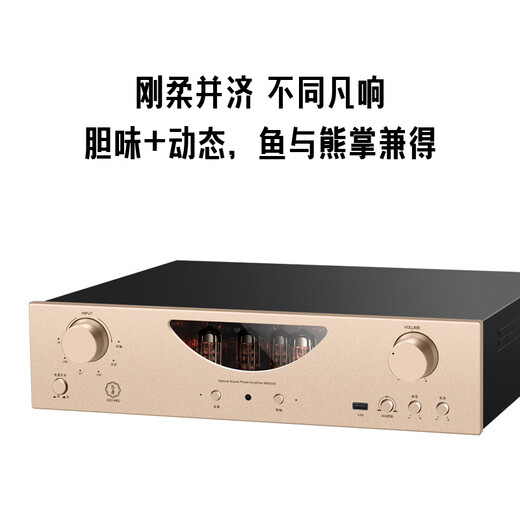
Youtang MK8300 Binder Electronic Tube Amplifier HIFI Fever-level Front Gas and Back Geometric High-Power Bluetooth Amplifier HiFi Fever-type Binder Power Amplifier