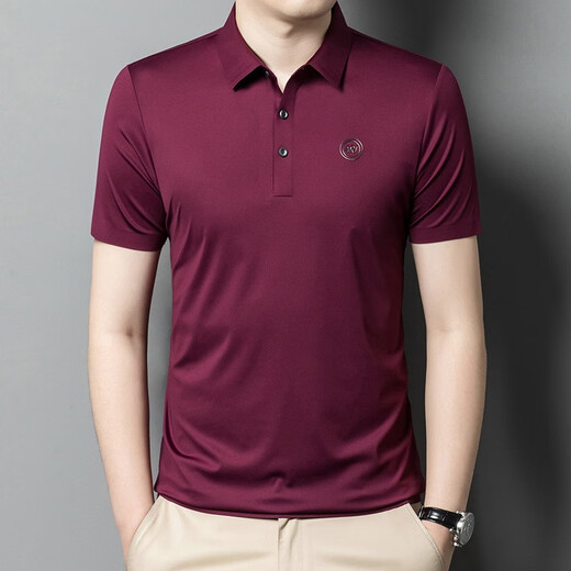 阿尼司伦轻奢贵族短袖t恤衫男夏季薄款纯色时尚休闲百搭半袖上衣体恤男 9859浅蓝色 2XL 185码【建议165-180斤】