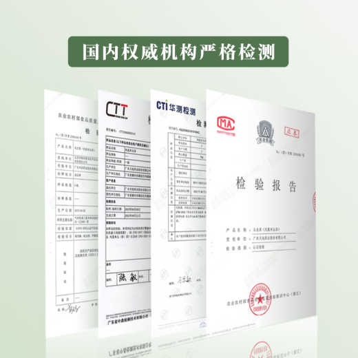 天池1392乌龙茶潮州凤凰单枞茶青山系列匠心制作精品口粮茶2024年新茶 鸭屎香一级125g