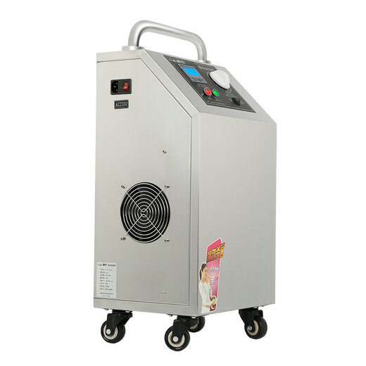 Fogha CYJ1510A-Y 10G ozone sterilizer ozone generator food factory workshop disinfection farm sterilization water ozone machine 10G/H (FH-CYJ1510A-Y)