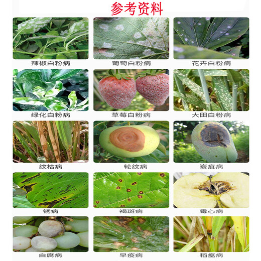 Hulian Plant Protection 430g/L Tebuconazole Powdery Mildew Special Drug Wheat Vegetable Fruit Tree Rust Dry Rot Pesticide Broad Spectrum Fungicide