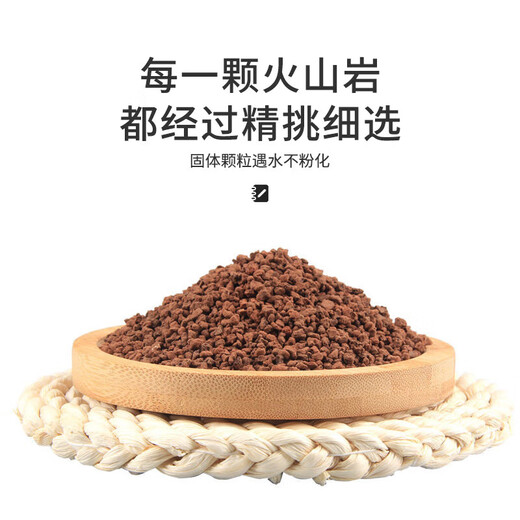 Devodo volcanic rock 2.5KG succulent soil granular paving stone mixed with loose soil and breathable soil to improve soil gardening soilless cultivation matrix