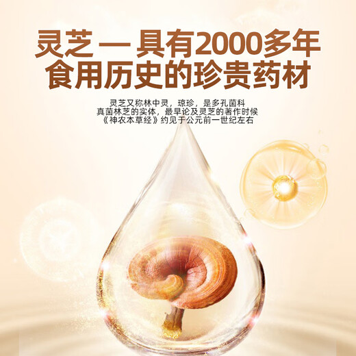 李时珍破壁灵芝孢子粉增强免疫力探病礼物 4盒 100g （单盒1g*25袋）