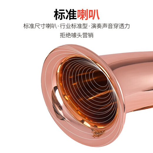 
Jinbao Saxophone JBAS-1010 mid-E flat saxophone rating performance Western wind instruments