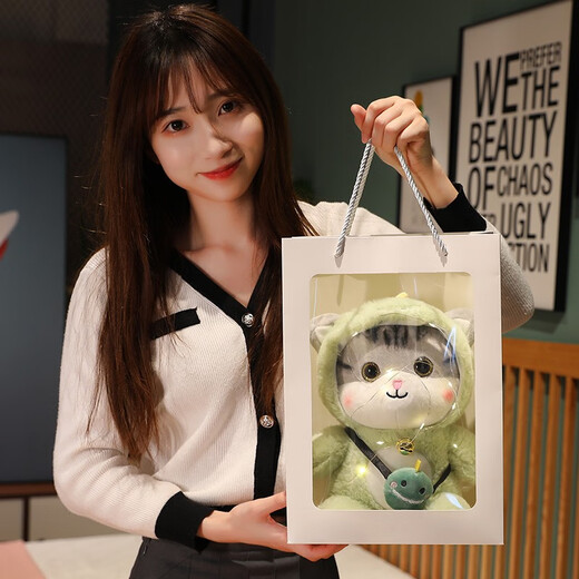 Yunya cute cat doll sleeps and cuddles on the bed, kitten simulation gift, transforms into a cat, girlfriend friend birthday gift, transforms into a dinosaur cat - 30 cm