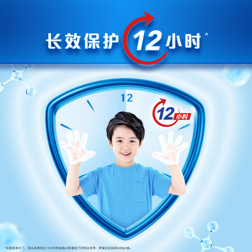 Safeguard Antibacterial Foam Hand Sanitizer White Tea Fragrance 300g Healthy Antibacterial 99.9% Fine Foam