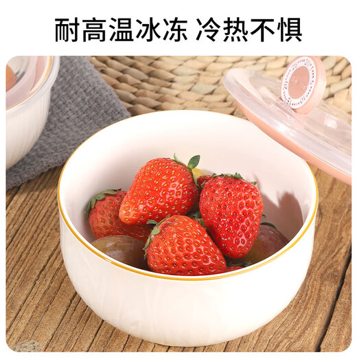Shunxiang fresh-keeping bowl ceramic household tableware set with rice bowl, lunch bowl, instant noodle bowl with lid, suitable for microwave oven