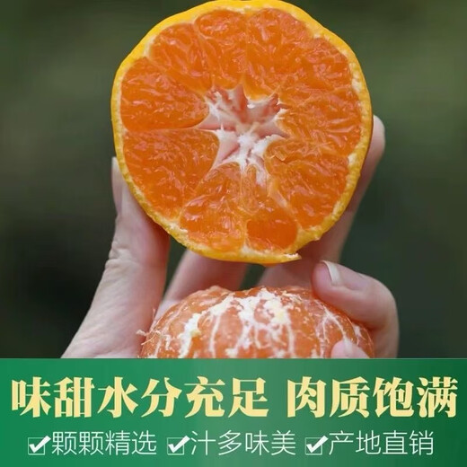 趣尝鲜台州临海涌泉蜜桔蜜橘 65-80mm 净重4.5斤 1号会员店 源头直发