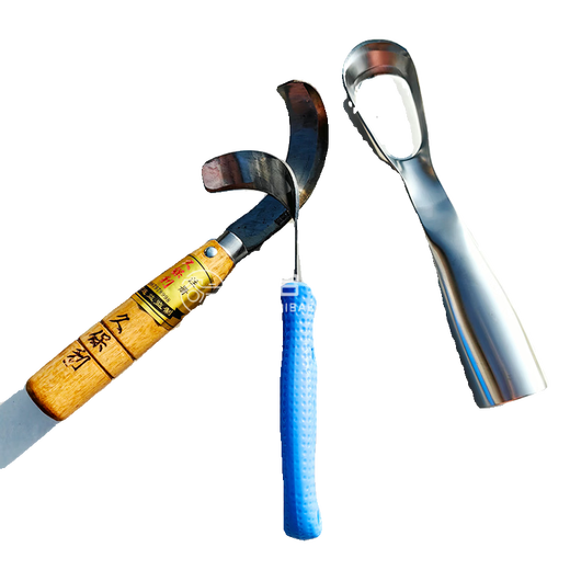 Minghuitong jackfruit coring knife, jackfruit coring knife, fruit knife, jackfruit coring knife, blue handle coring knife 1 piece