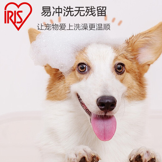 IRIS (IRIS) pet shower gel liquid cat and dog universal Alice bath shampoo soft and lasting fragrance universal soft cat universal ZCZ-3