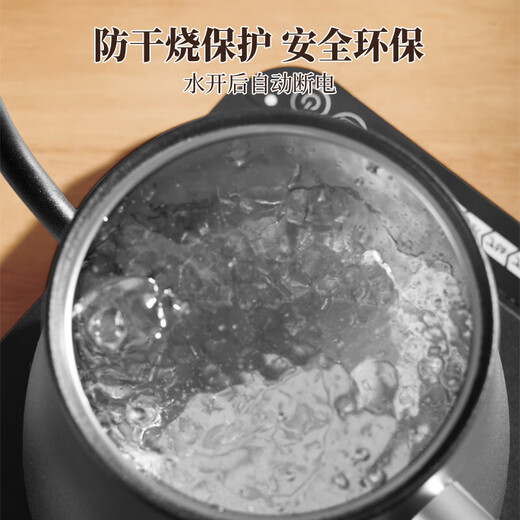 PAKCHOICE hand brewing kettle coffee electric temperature control hand brewing kettle hanging ear long mouth constant temperature tea kettle electric kettle