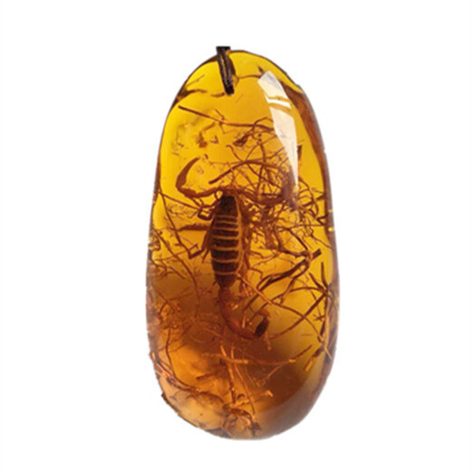 Bixiutang ethnic style insect amber pendant scorpion fossil beeswax necklace men and women butterfly water drop long sweater chain pendant scorpion single-sided polishing + handle rope