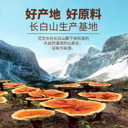 Lu Eniang Breaking Wall Ganoderma Lucidum Spore Powder comes from Changbaishan Ganoderma Lucidum Spore Powder organic certified middle-aged and elderly gift box. 2 cans of organic spore powder totaling 500g