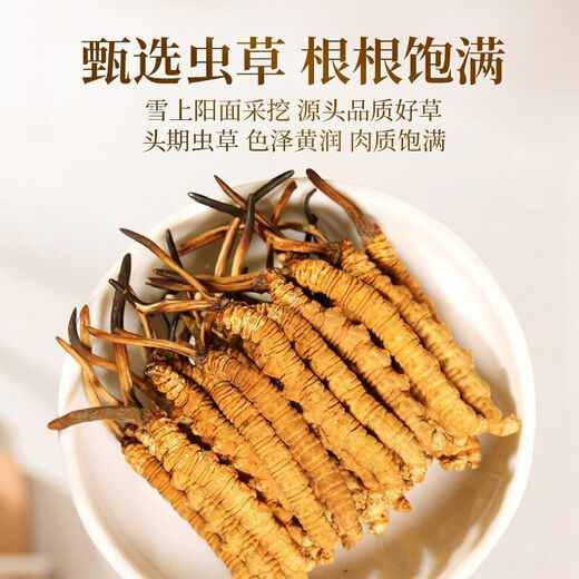 Пекин Тонгрентанг [Черная пятница] Cordyceps Sinensis Fresh Cordyceps сухожие товары Cordyceps Аутентичный фестиваль чистого мяса 31 штуки для 3 пакетов