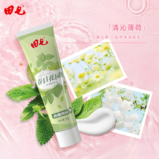 Tianqi Toothpaste Spring Garden 90g Mint Sakura Fresh Tone Brightening White Ginger Protection Adult Prevention of Odor Toothpaste Domestic Products Mint 90g*2+ Sakura 90g+ Toothbrush