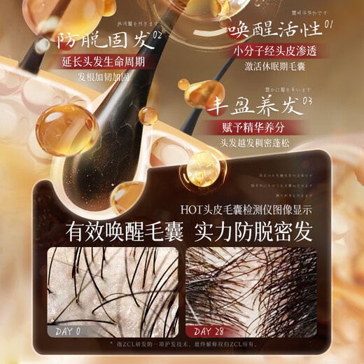 ZCL洗发水防脱发育发固发生姜控油蓬松去屑何首乌侧柏叶第1名金榜