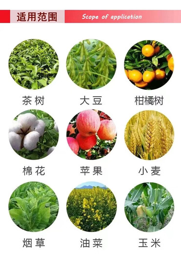 Jianpai 15% paclobutrazol rice, rapeseed and peanut dwarfing agent chlormequat control and increase yield plant growth regulator 10g*10 bags