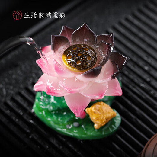 Tuojin color-changing tea pet ornaments can raise creative lotus golden toad tea play tea table tea table kung fu tea set accessories decoration golden toad play dew-gift box