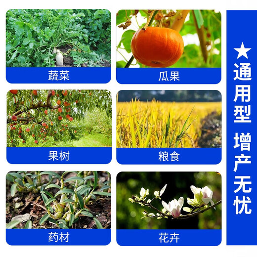 Seaweed fish protein water-soluble fertilizer puree enzymatic fish protein amino acid water-soluble fertilizer trace elements for vegetables and fruits fish protein 1000g * 4 bottles