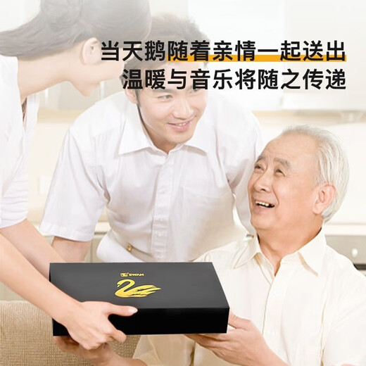 Swan (SWAN) imported German gong Swan harmonica polyphonic accent high-end beginners professional performance level gift for men and women adults 24 holes polyphonic C key [Professional performance level]