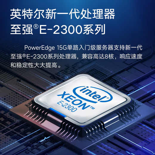 戴尔（DELL）R250/R350/R450服务器主机 1U机架式 ERP文件共享打印用友金蝶数据库 R350 至强E-2378G 8核16线程 64G内存丨3*16TB硬盘丨H755 8G缓存