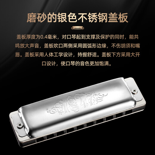 Seydel importé d'Allemagne Seydel 10 trous 10 blues blues metal harmonica 1847 noble débutant adulte 10 trous b