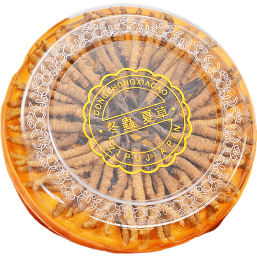 Cordyceps sinensis y té Cordyceps en el área nevada de Xiongfengdao Área tibetana 80 Piezas auténticas Cordyceps productos secos de 25 gramos Caja de regalo