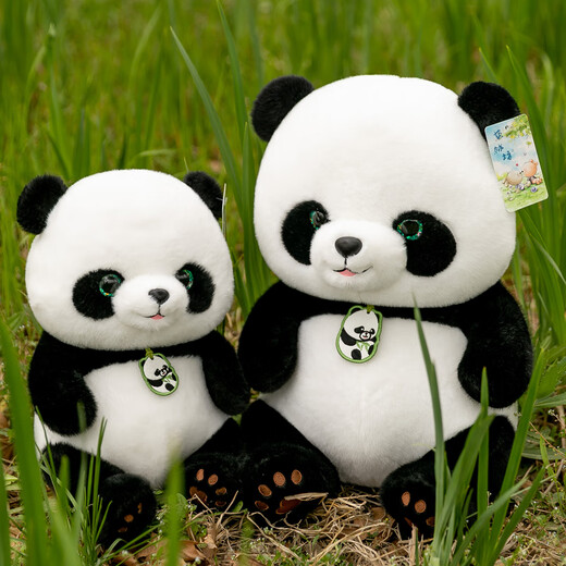 
WELTSTON (WELTSTON) doll plush toy rag doll Fubao doll ornaments pillow birthday gift girl giant panda 24cm