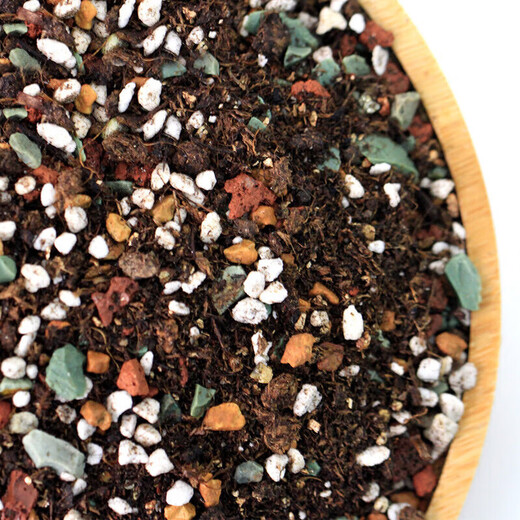 Green succulent special granular soil nutrient soil paving stone full particle universal medium potted planting soil decoration