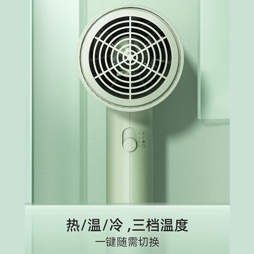 飞科（FLYCO） 电吹风2000W家用大功率吹风筒便携式吹风机冷热风 飞科FH6296 1800W 带负离子 绿色