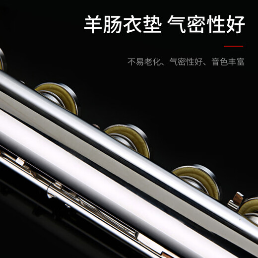 Acacia Bird Flute 16-hole closed-hole dual-purpose adult children beginners playing silver-plated flute instruments for professional performance