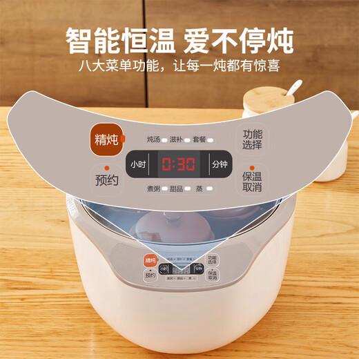 Yili electric stew pot, electric stew pot, stew pot, 4-person household water-proof stew pot, electric casserole, purple casserole, porridge pot, stew rice, health artifact, scheduled time, one pot, 4 gallbladders, 3.2L DZ32-1 3.2L *2-4 people