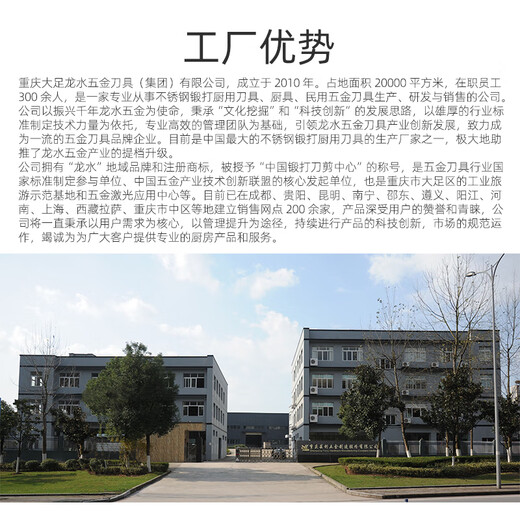 龙水 LONG SIR重庆大足龙水手工锻打家用切片刀具超快锋利耐磨厨师切肉5铬菜刀 14382(黑彩木手柄)